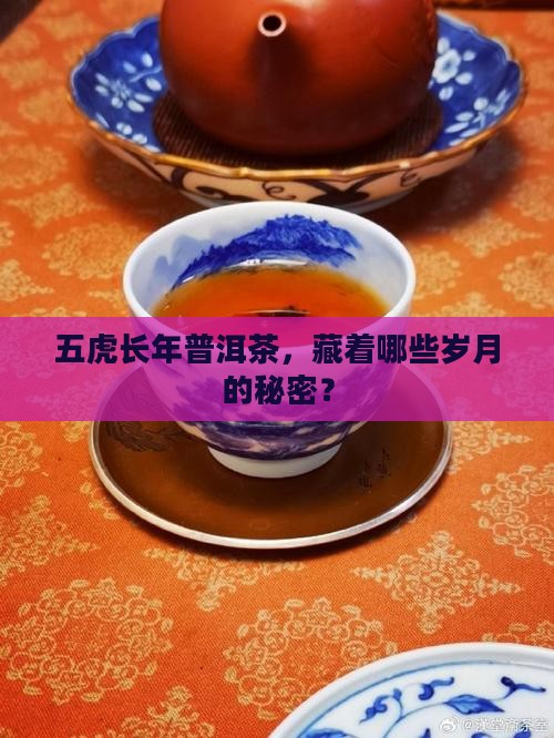 五虎长年普洱茶，藏着哪些岁月的秘密？