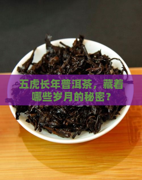 五虎长年普洱茶，藏着哪些岁月的秘密？