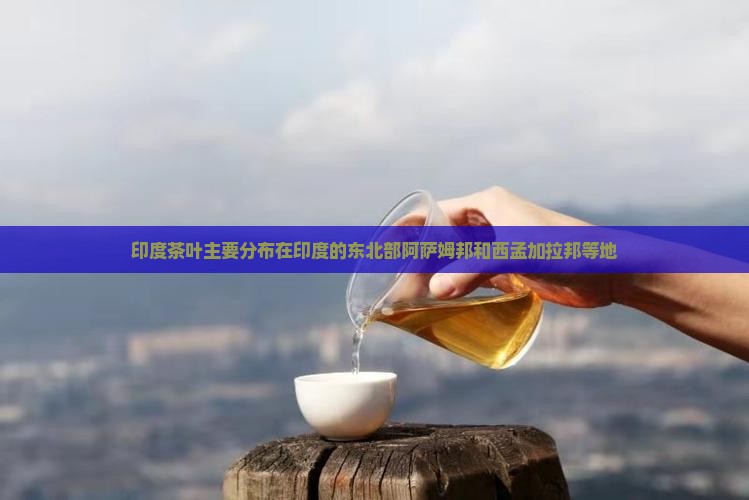 印度茶叶主要分布在印度的东北部阿萨姆邦和西孟加拉邦等地