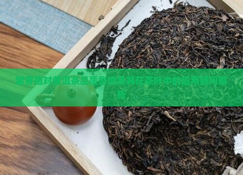 紫芽孢对普洱茶品质影响及其在茶叶中的应用疑问解析