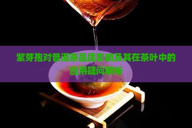 紫芽孢对普洱茶品质影响及其在茶叶中的应用疑问解析