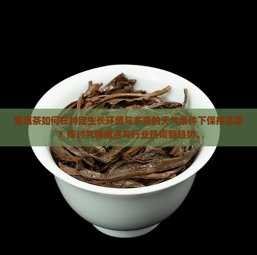 普洱茶如何在特定生长环境与多变的天气条件下保持品质？探讨气候痛点与行业热词新趋势。
