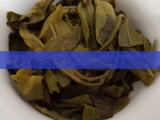 普洱茶如何在特定生长环境与多变的天气条件下保持品质？探讨气候痛点与行业热词新趋势。