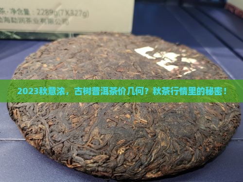 2023秋意浓，古树普洱茶价几何？秋茶行情里的秘密！