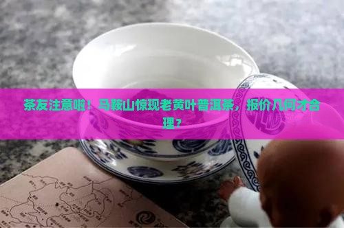 茶友注意啦！马鞍山惊现老黄叶普洱茶，报价几何才合理？