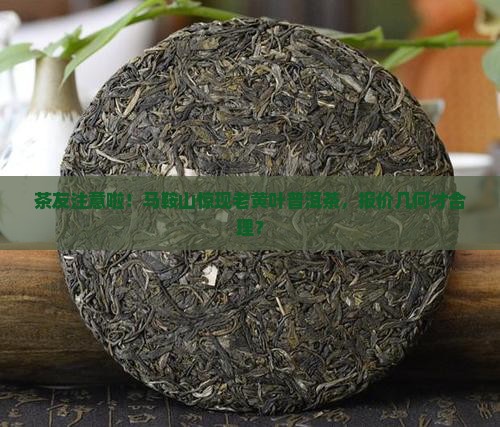 茶友注意啦！马鞍山惊现老黄叶普洱茶，报价几何才合理？