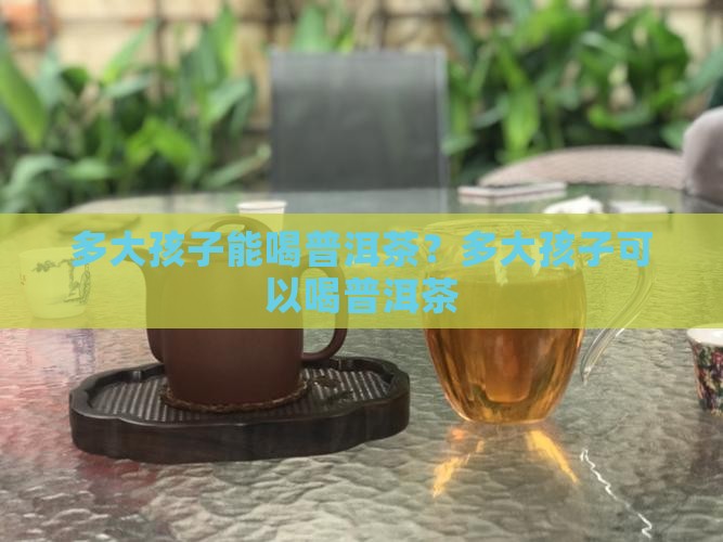 多大孩子能喝普洱茶？多大孩子可以喝普洱茶