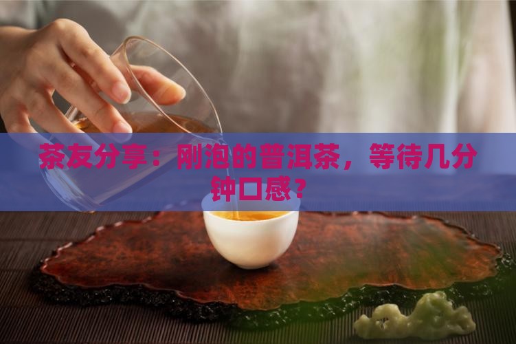 茶友分享：刚泡的普洱茶，等待几分钟口感？