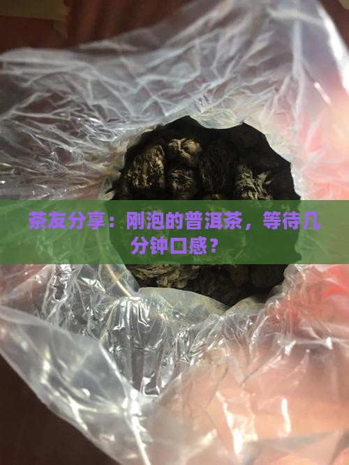 茶友分享：刚泡的普洱茶，等待几分钟口感？