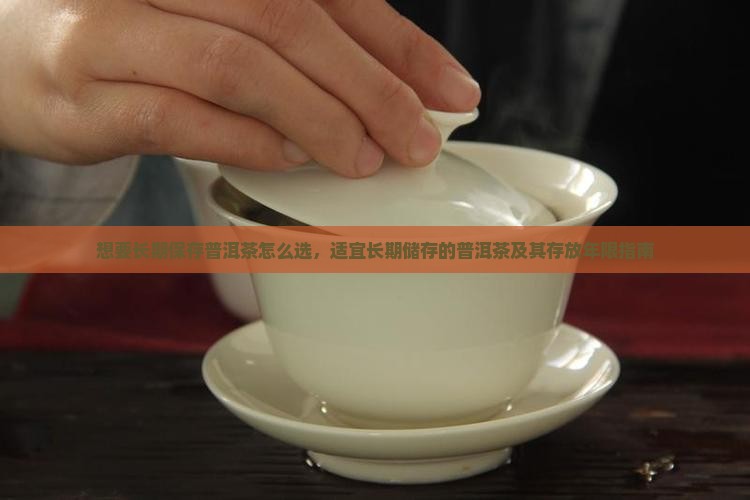 想要长期保存普洱茶怎么选，适宜长期储存的普洱茶及其存放年限指南