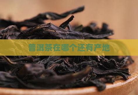 普洱茶在哪个还有产地