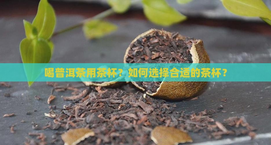 喝普洱茶用茶杯？如何选择合适的茶杯？