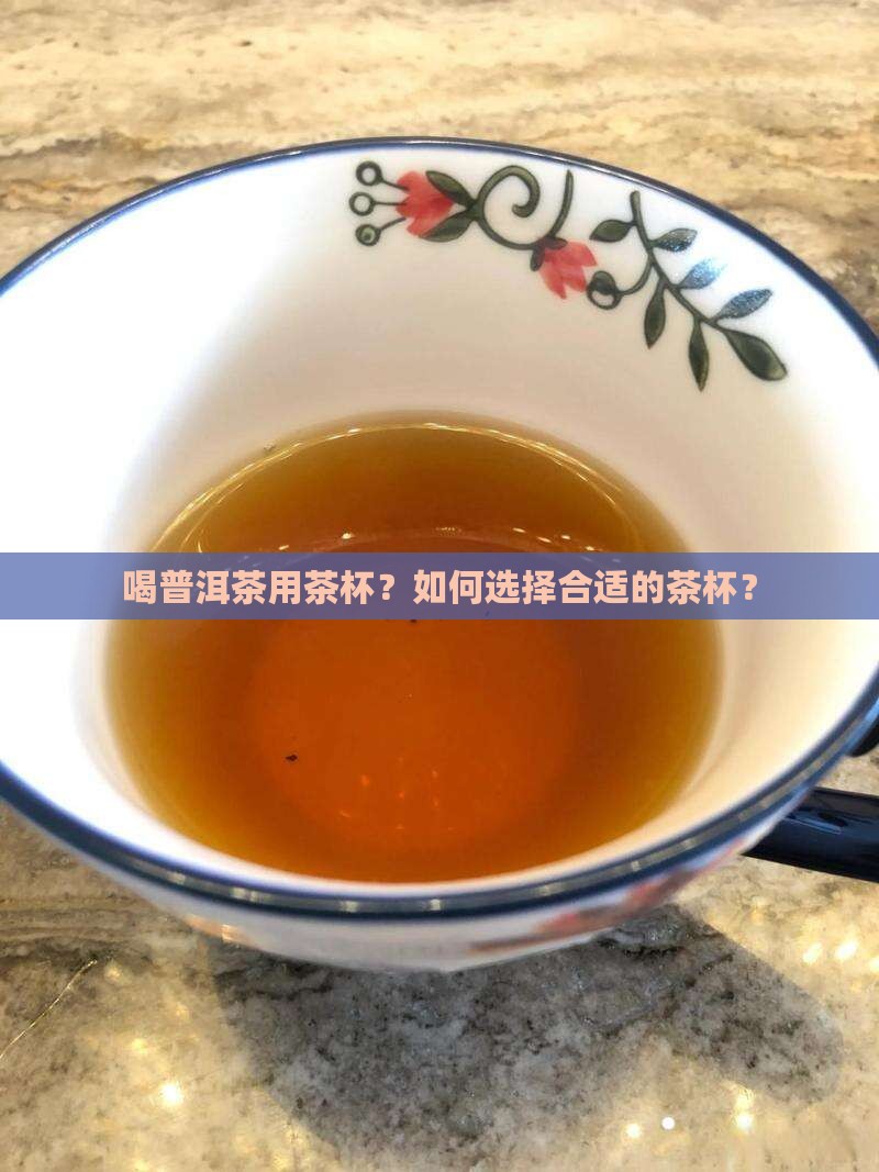 喝普洱茶用茶杯？如何选择合适的茶杯？