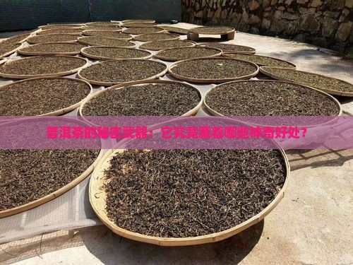 普洱茶的秘密武器：它究竟藏着哪些神奇好处？