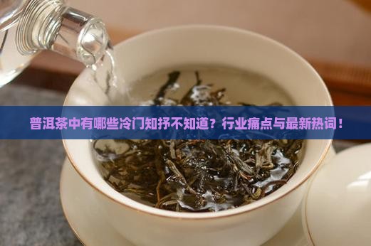 普洱茶中有哪些冷门知抒不知道？行业痛点与最新热词！