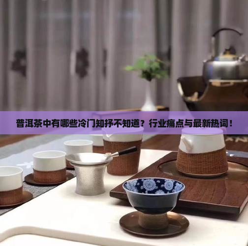 普洱茶中有哪些冷门知抒不知道？行业痛点与最新热词！