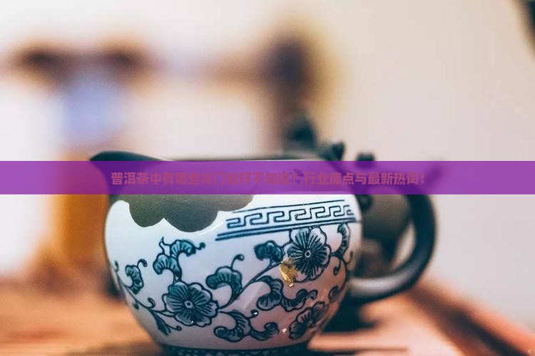 普洱茶中有哪些冷门知抒不知道？行业痛点与最新热词！