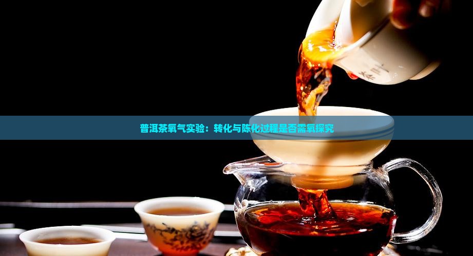 普洱茶氧气实验：转化与陈化过程是否需氧探究