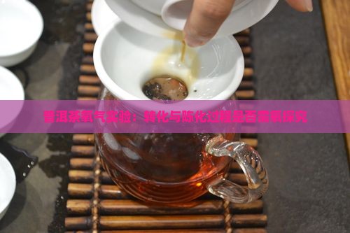 普洱茶氧气实验：转化与陈化过程是否需氧探究