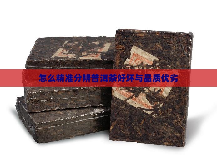 怎么精准分辨普洱茶好坏与品质优劣