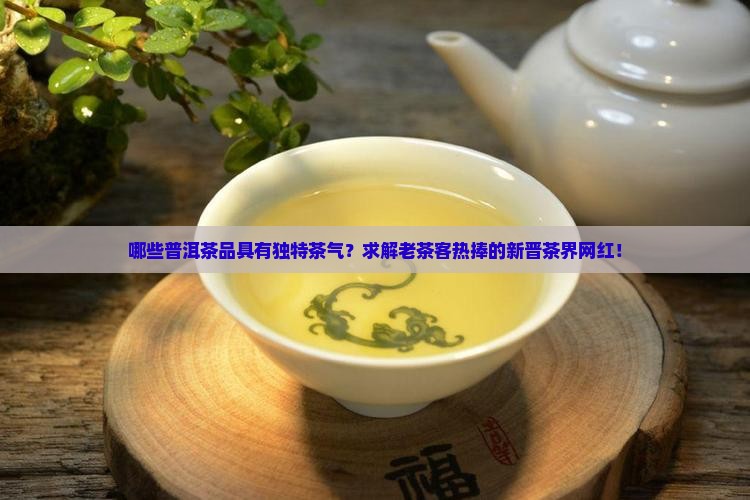 哪些普洱茶品具有独特茶气？求解老茶客热捧的新晋茶界网红！