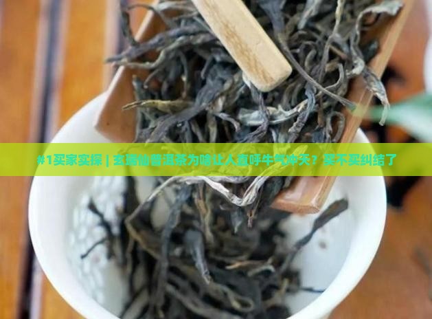 #1买家实探 | 玄瑞仙普洱茶为啥让人直呼牛气冲天？买不买纠结了