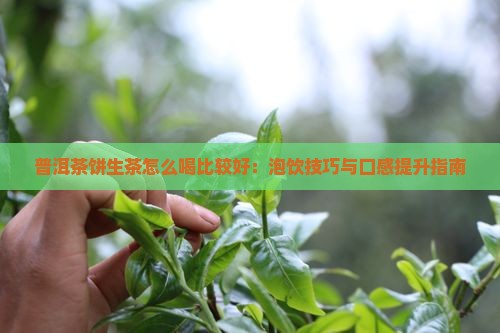 普洱茶饼生茶怎么喝比较好：泡饮技巧与口感提升指南