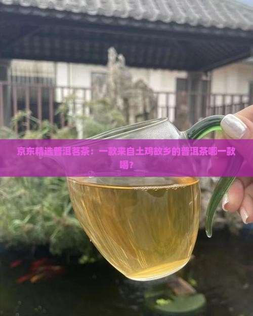 京东精选普洱茗茶：一款来自土鸡故乡的普洱茶哪一款喝？