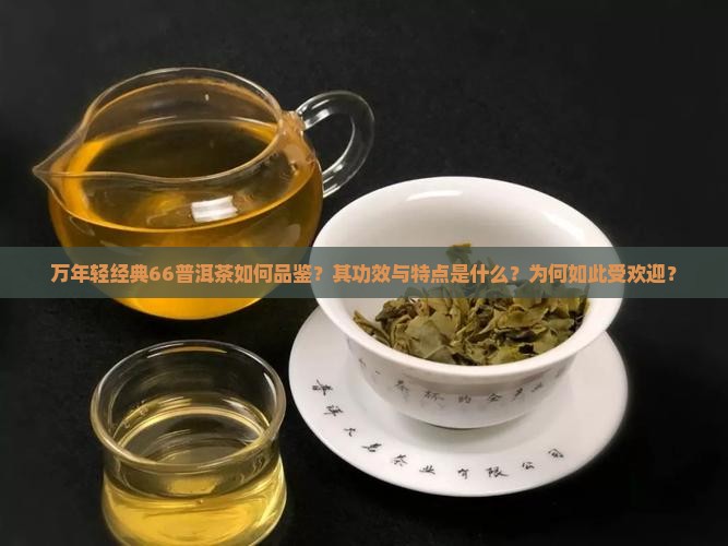 万年轻经典66普洱茶如何品鉴？其功效与特点是什么？为何如此受欢迎？