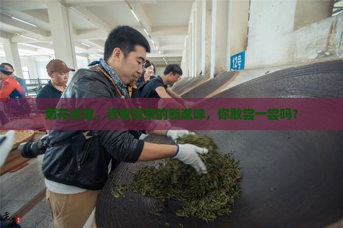 菊花点缀，青普洱茶的新滋味，你敢尝一尝吗？