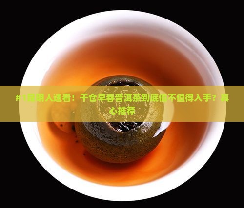 #1昆明人速看！干仓早春普洱茶到底值不值得入手？真心推荐