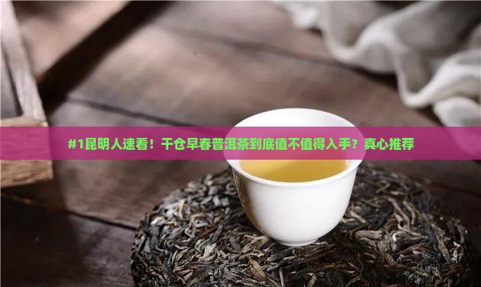 #1昆明人速看！干仓早春普洱茶到底值不值得入手？真心推荐