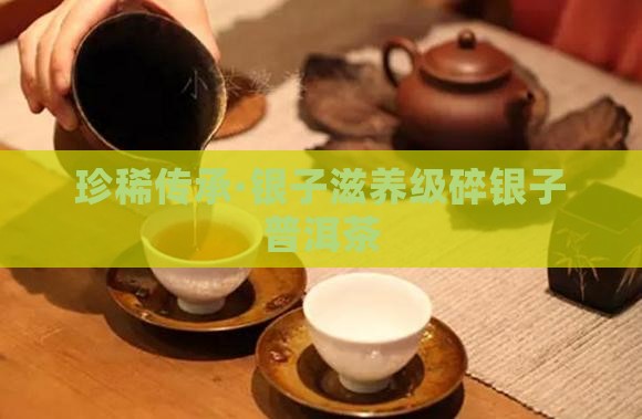 珍稀传承·银子滋养级碎银子普洱茶