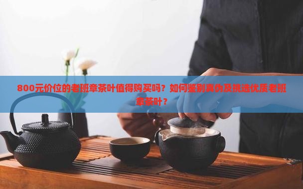 800元价位的老班章茶叶值得购买吗？如何鉴别真伪及挑选优质老班章茶叶？