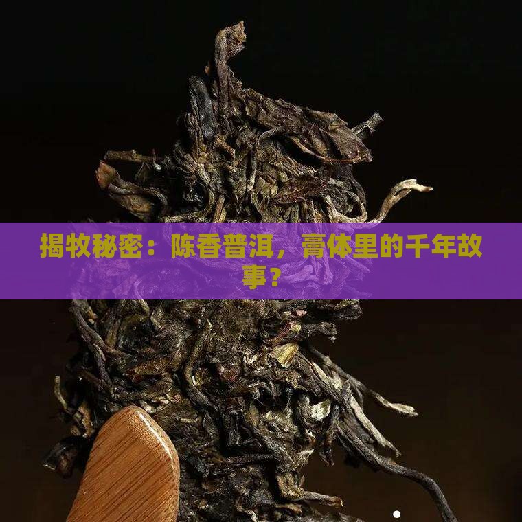 揭牧秘密：陈香普洱，膏体里的千年故事？