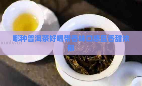 哪种普洱茶好喝带香味口感且香甜浓郁