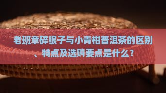 老班章碎银子与小青柑普洱茶的区别、特点及选购要点是什么？