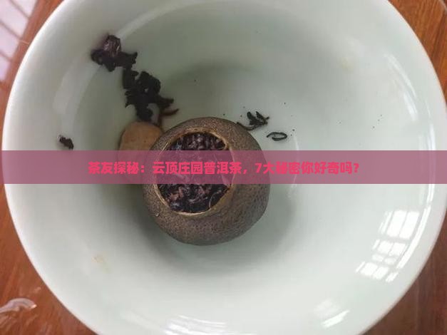 茶友探秘：云顶庄园普洱茶，7大秘密你好奇吗？