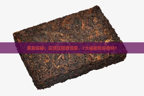 茶友探秘：云顶庄园普洱茶，7大秘密你好奇吗？