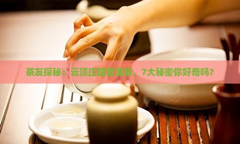 茶友探秘：云顶庄园普洱茶，7大秘密你好奇吗？