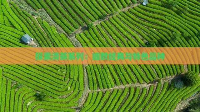 探索清茶系列：细数经典与特色品种