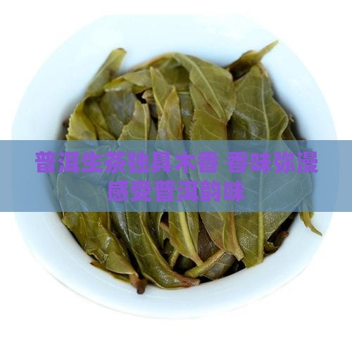 普洱生茶独具木香 香味弥漫感受普洱韵味