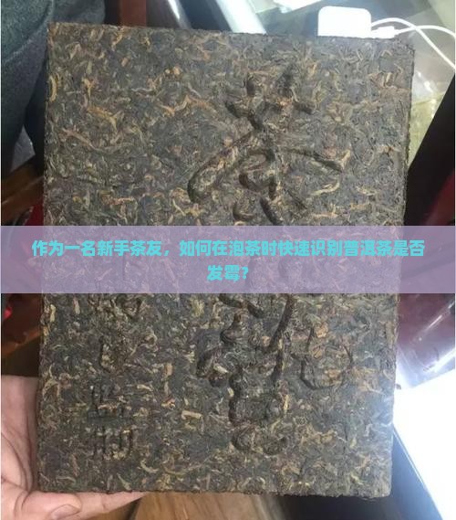 作为一名新手茶友，如何在泡茶时快速识别普洱茶是否发霉？