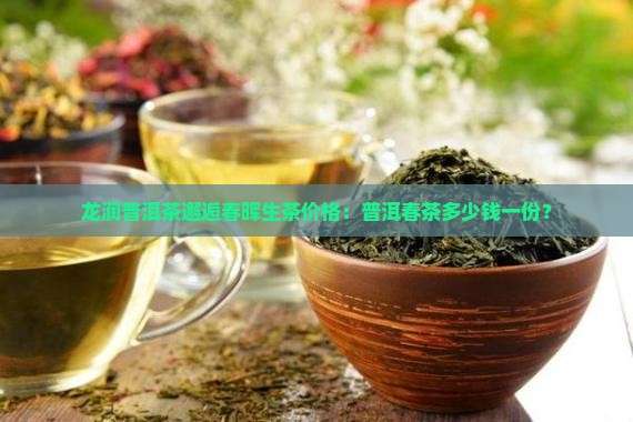 龙润普洱茶邂逅春晖生茶价格：普洱春茶多少钱一份？