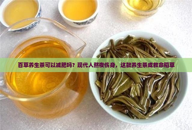 百草养生茶可以减肥吗？现代人熬夜伤身，这款养生茶成救命稻草