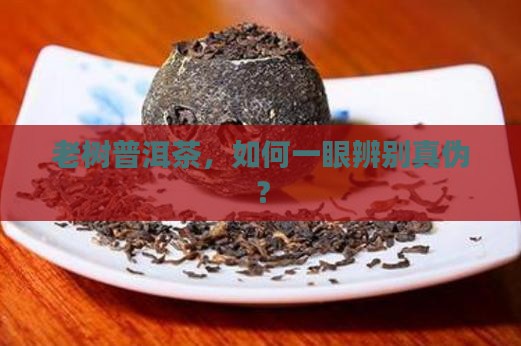 老树普洱茶，如何一眼辨别真伪？