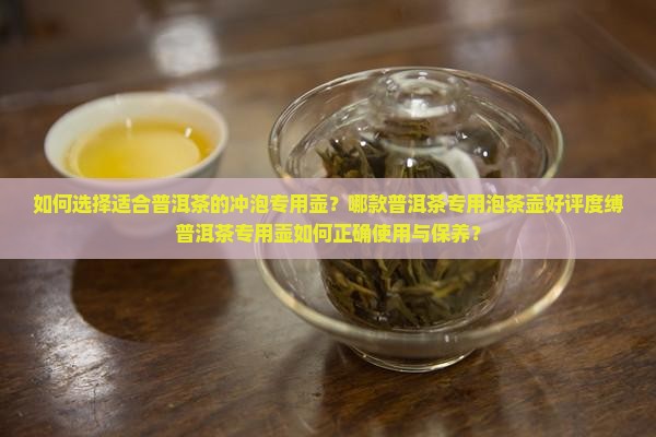 如何选择适合普洱茶的冲泡专用壶？哪款普洱茶专用泡茶壶好评度缚普洱茶专用壶如何正确使用与保养？