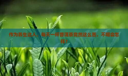 作为养生达人，每天一杯普洱茶竟然这么苦，不喝会怎样？