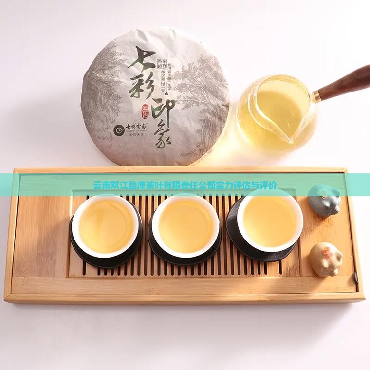 云南双江勐库茶叶有限责任公司实力评估与评价