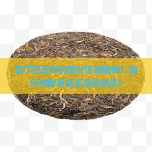 放了四五年的茶叶还能喝吗？如何判断其品质是否变质？